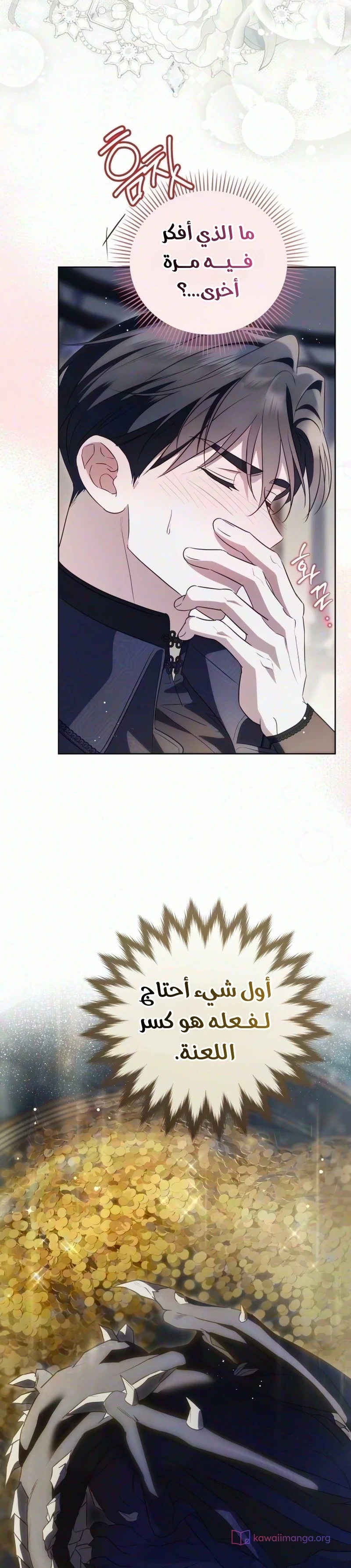 الصفحة 17