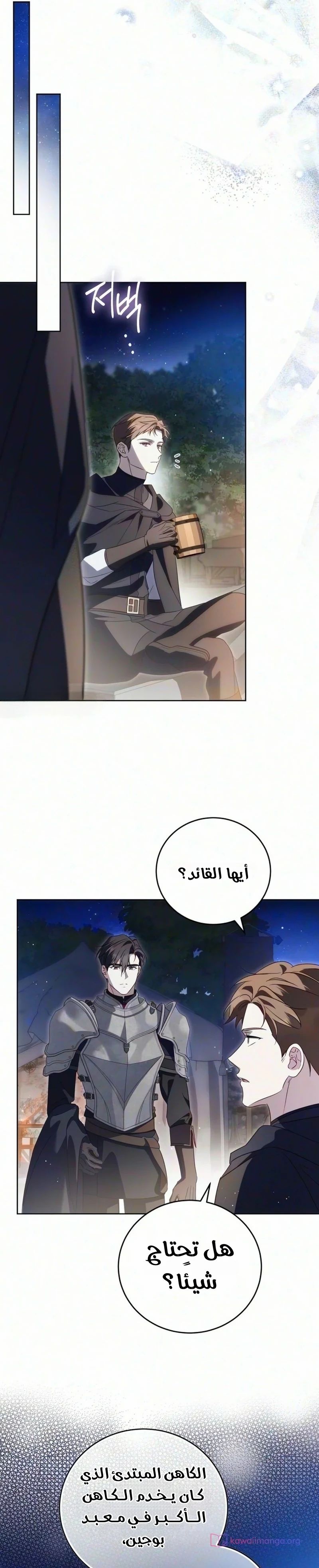 الصفحة 21