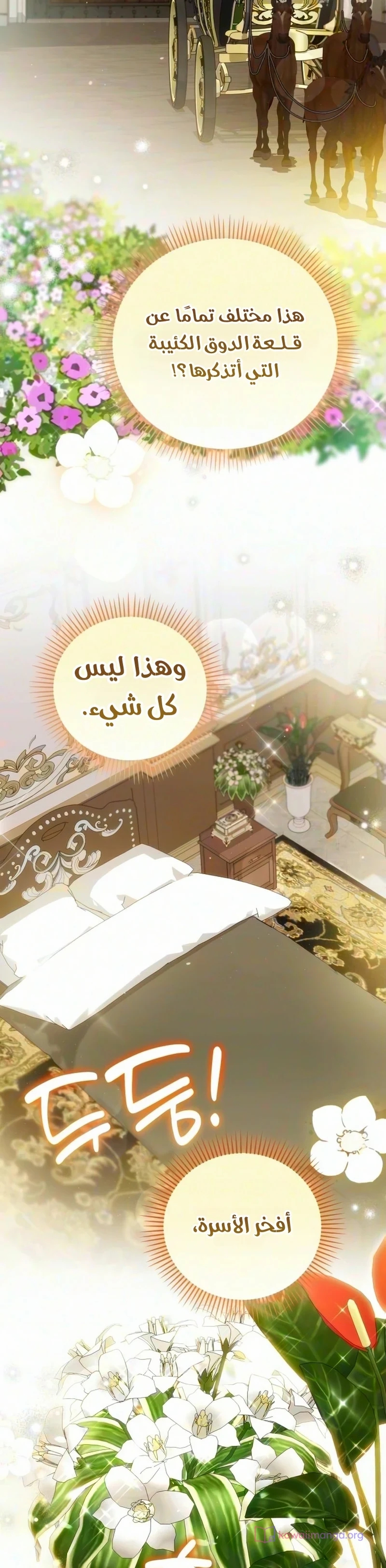 الصفحة 27
