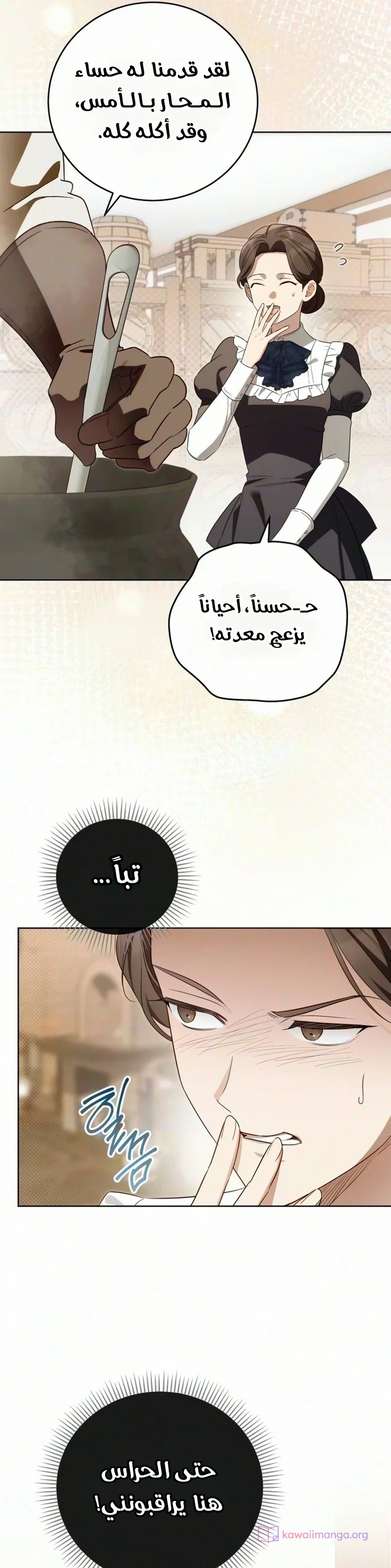 الصفحة 11