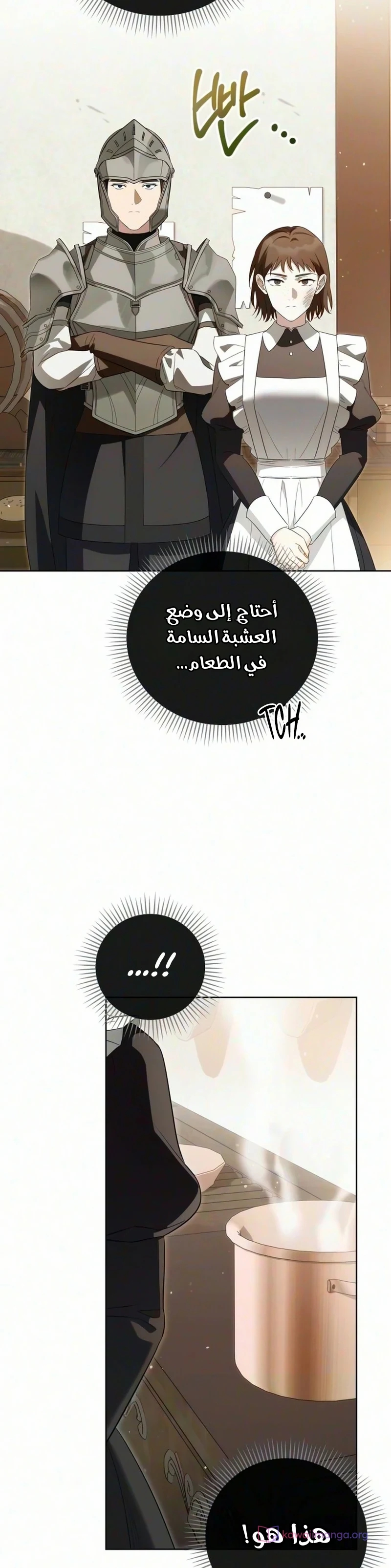 الصفحة 12