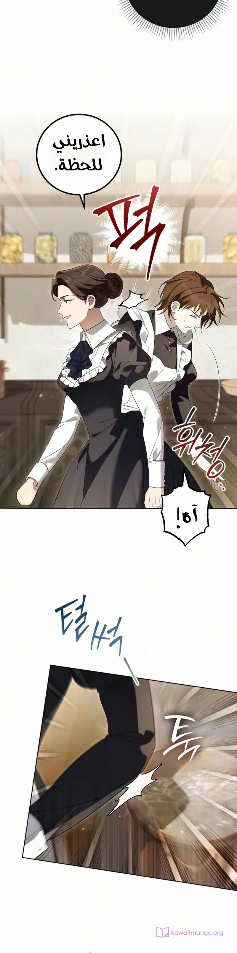 الصفحة 13