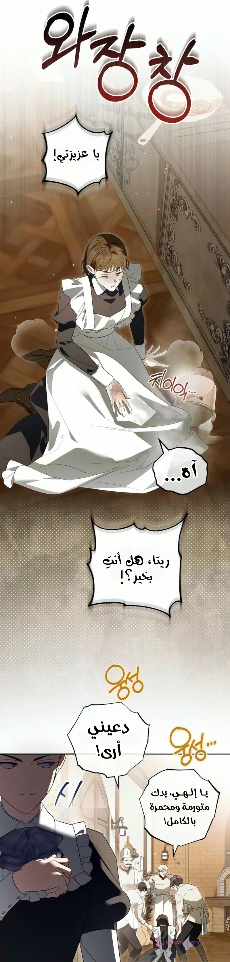 الصفحة 14
