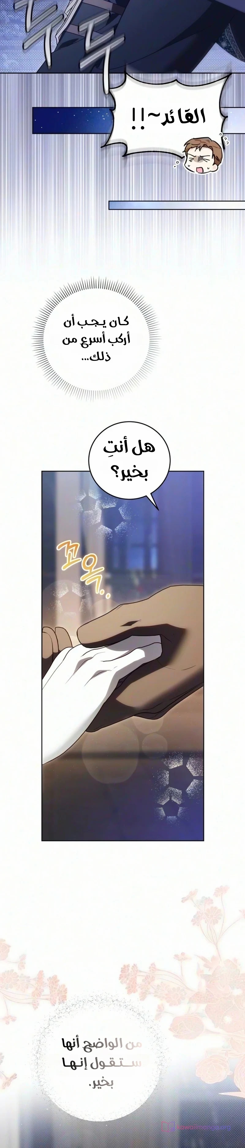 الصفحة 19