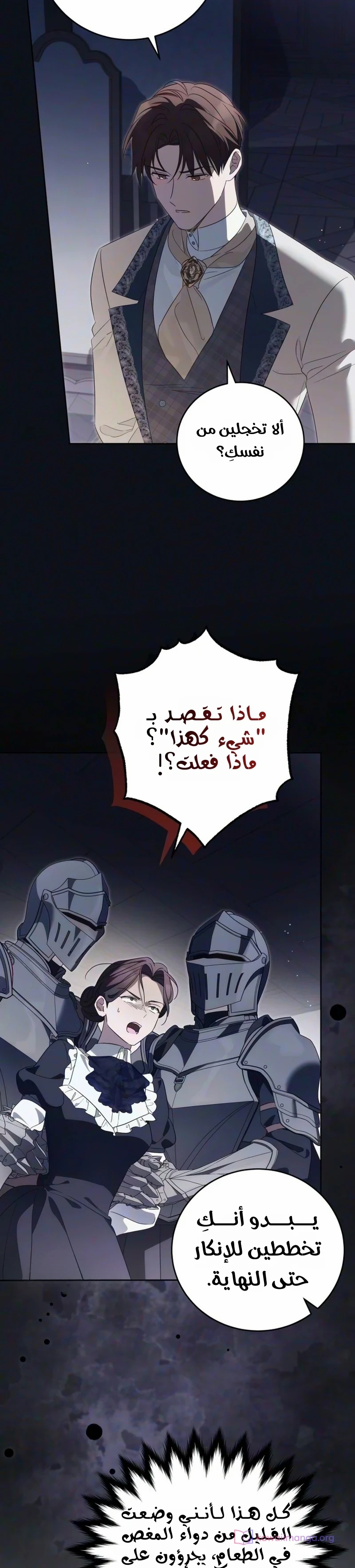الصفحة 25