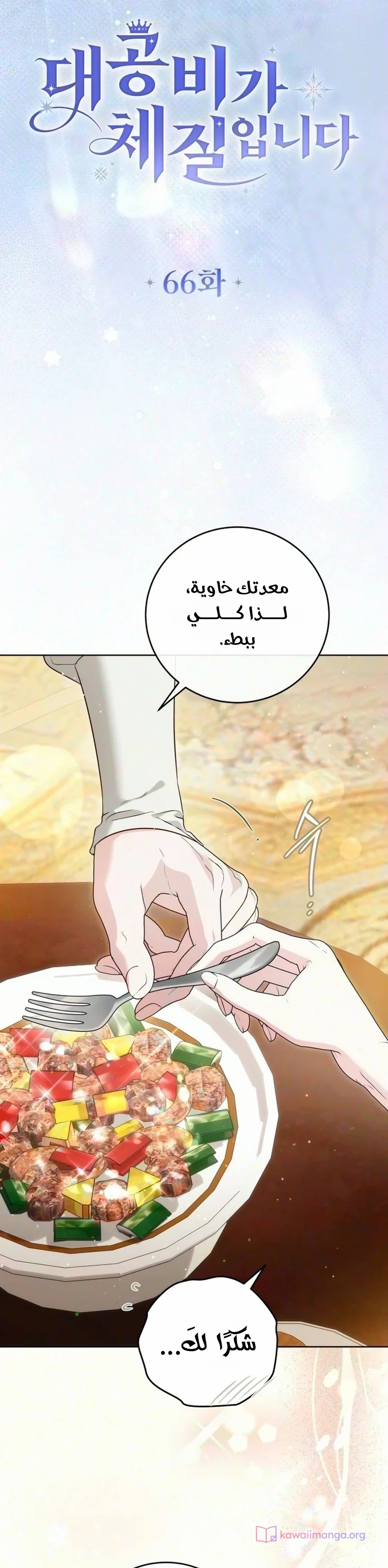 الصفحة 14