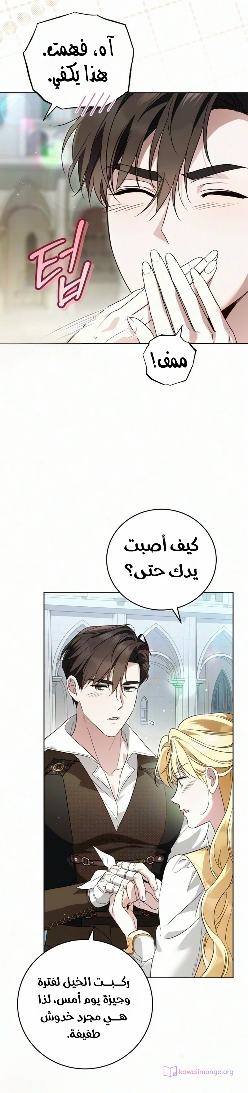 الصفحة 17