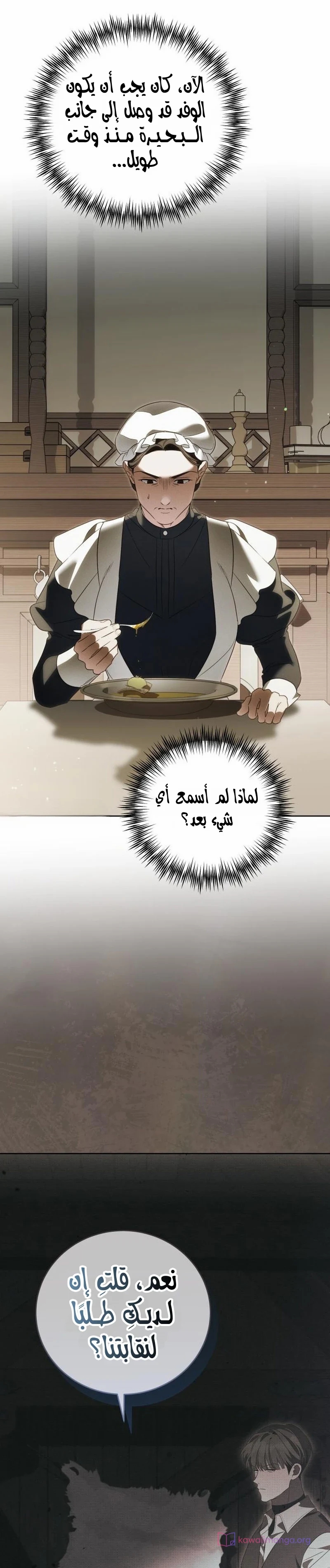 الصفحة 13