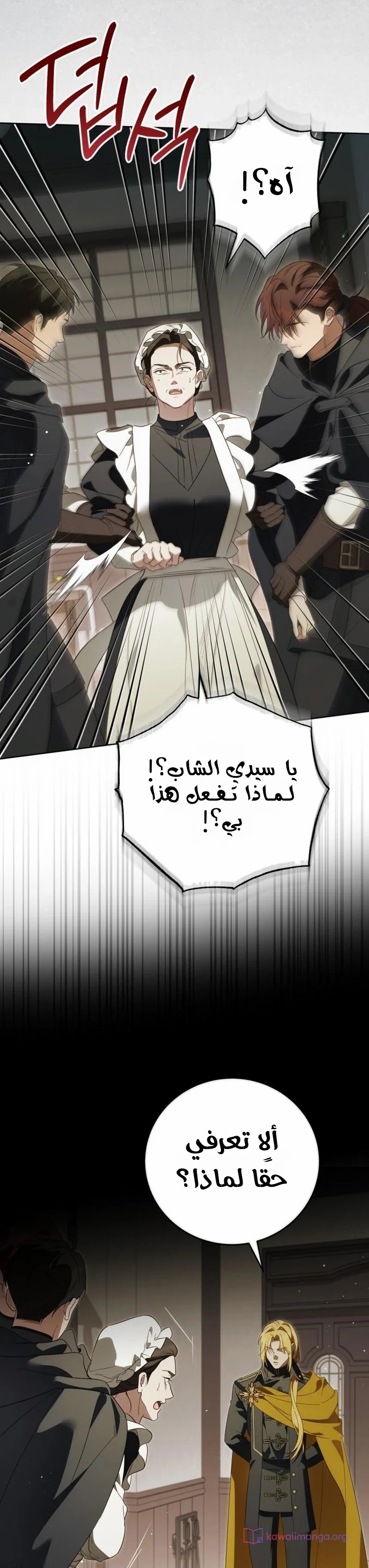 الصفحة 19