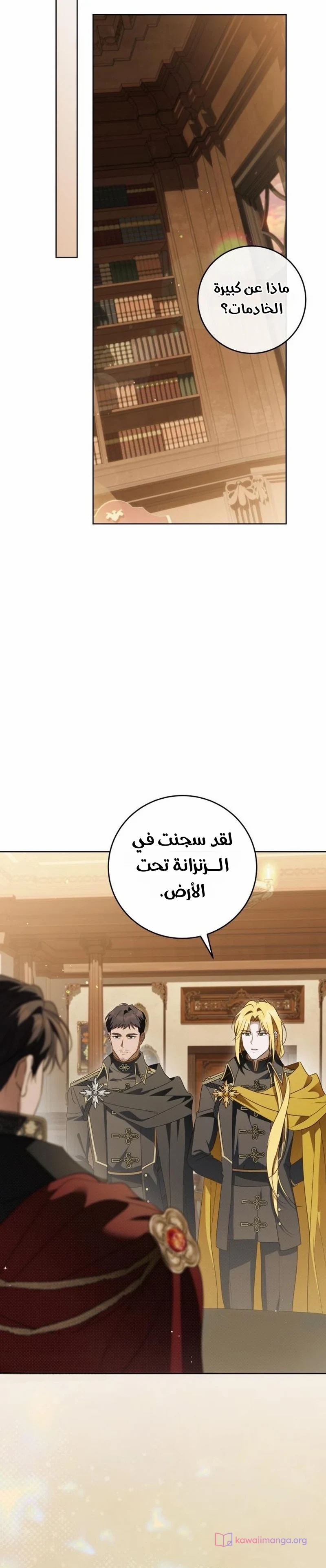 الصفحة 25