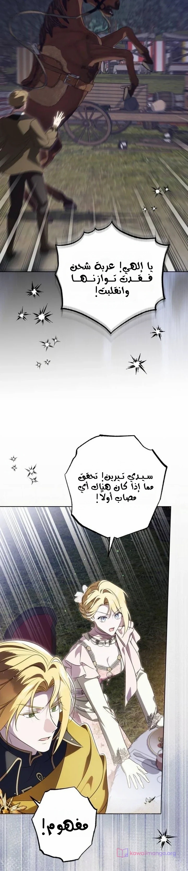 الصفحة 17