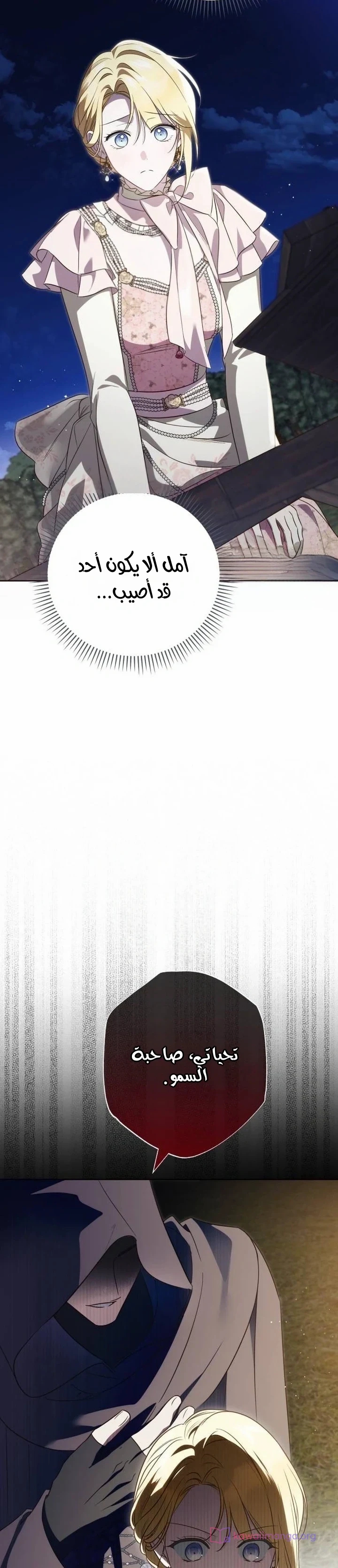 الصفحة 20