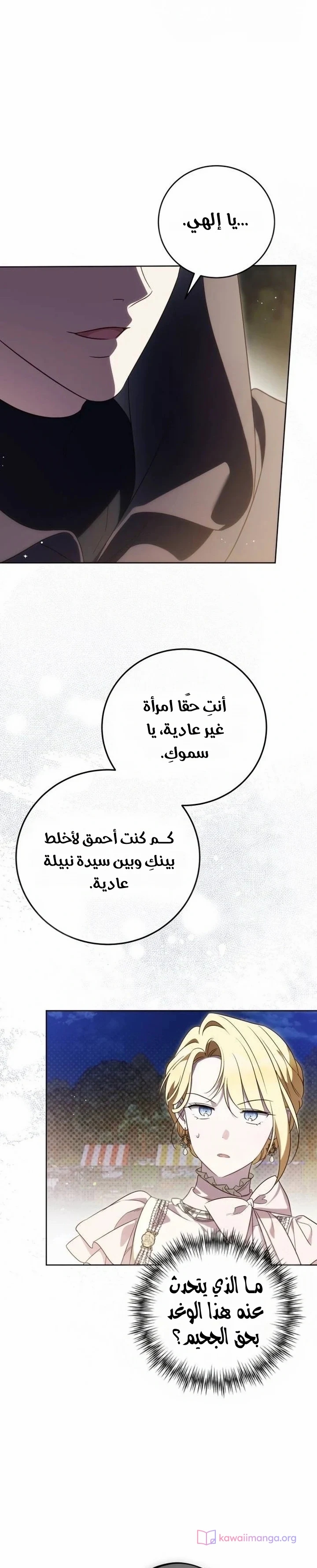 الصفحة 25