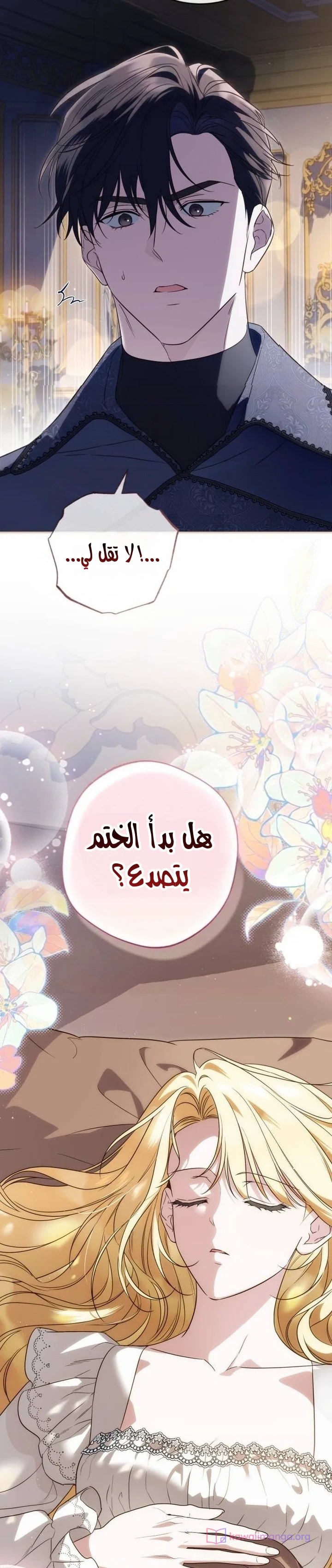 الصفحة 5