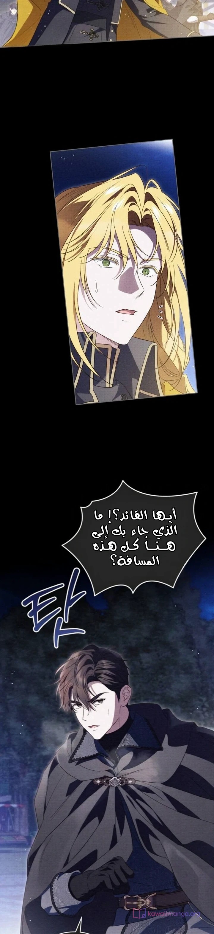 الصفحة 12