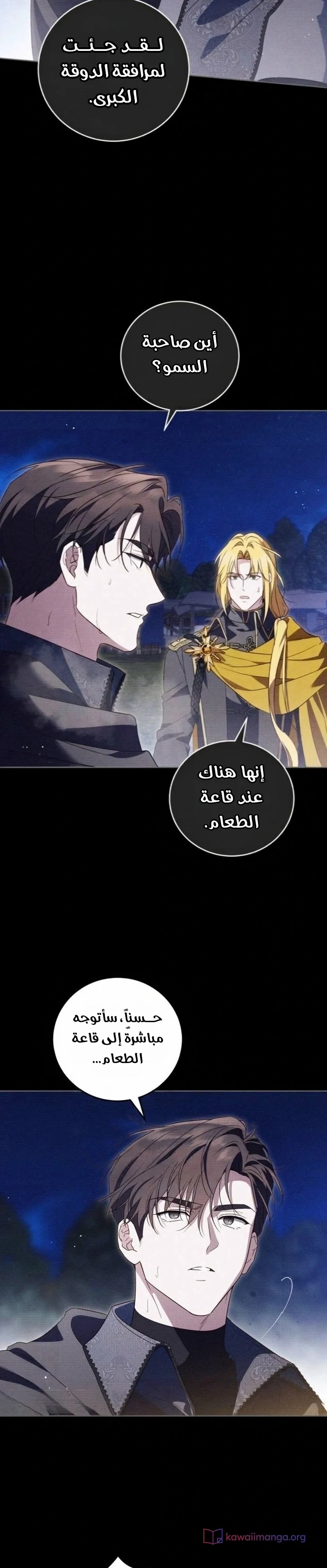 الصفحة 13