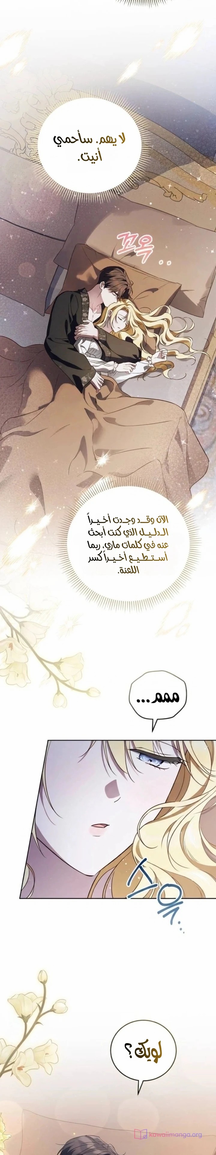 الصفحة 17