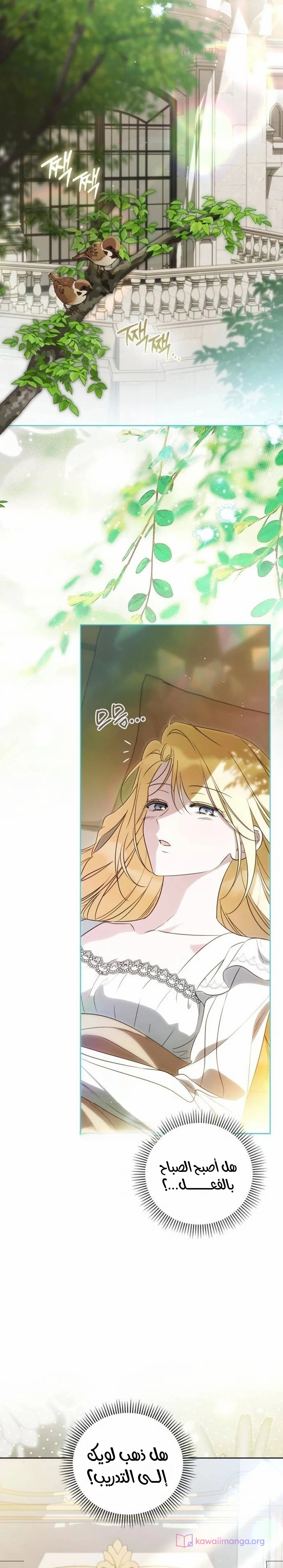 الصفحة 6