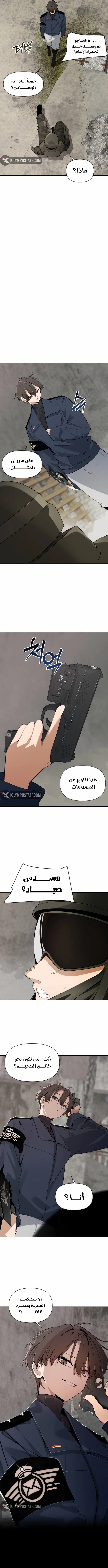 الصفحة 17