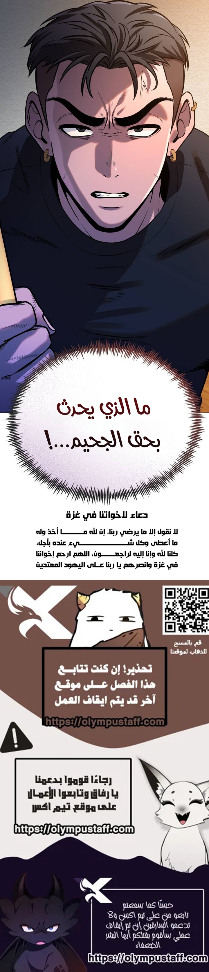 الصفحة 17