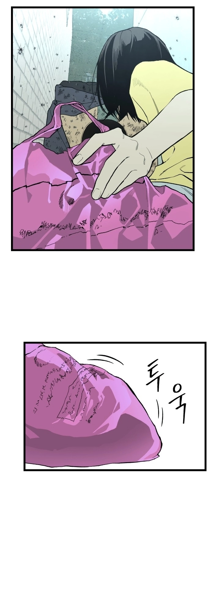 الصفحة 13