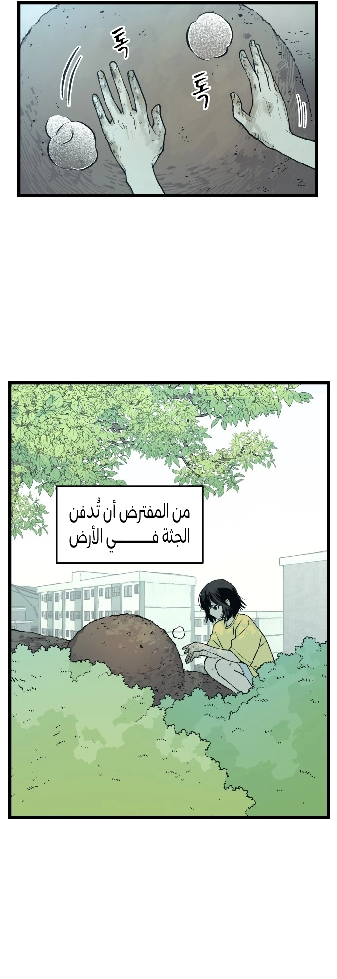 الصفحة 16