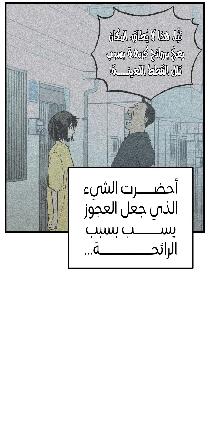 الصفحة 74
