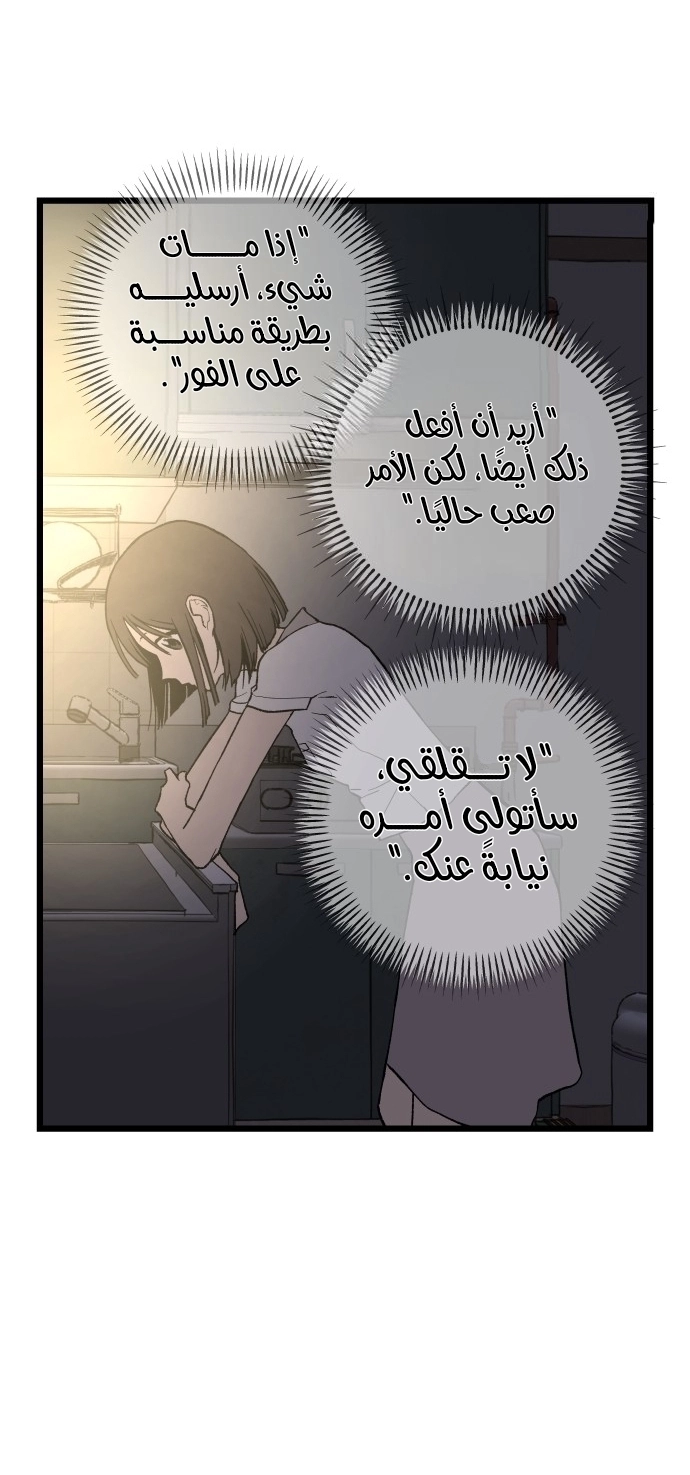 الصفحة 47