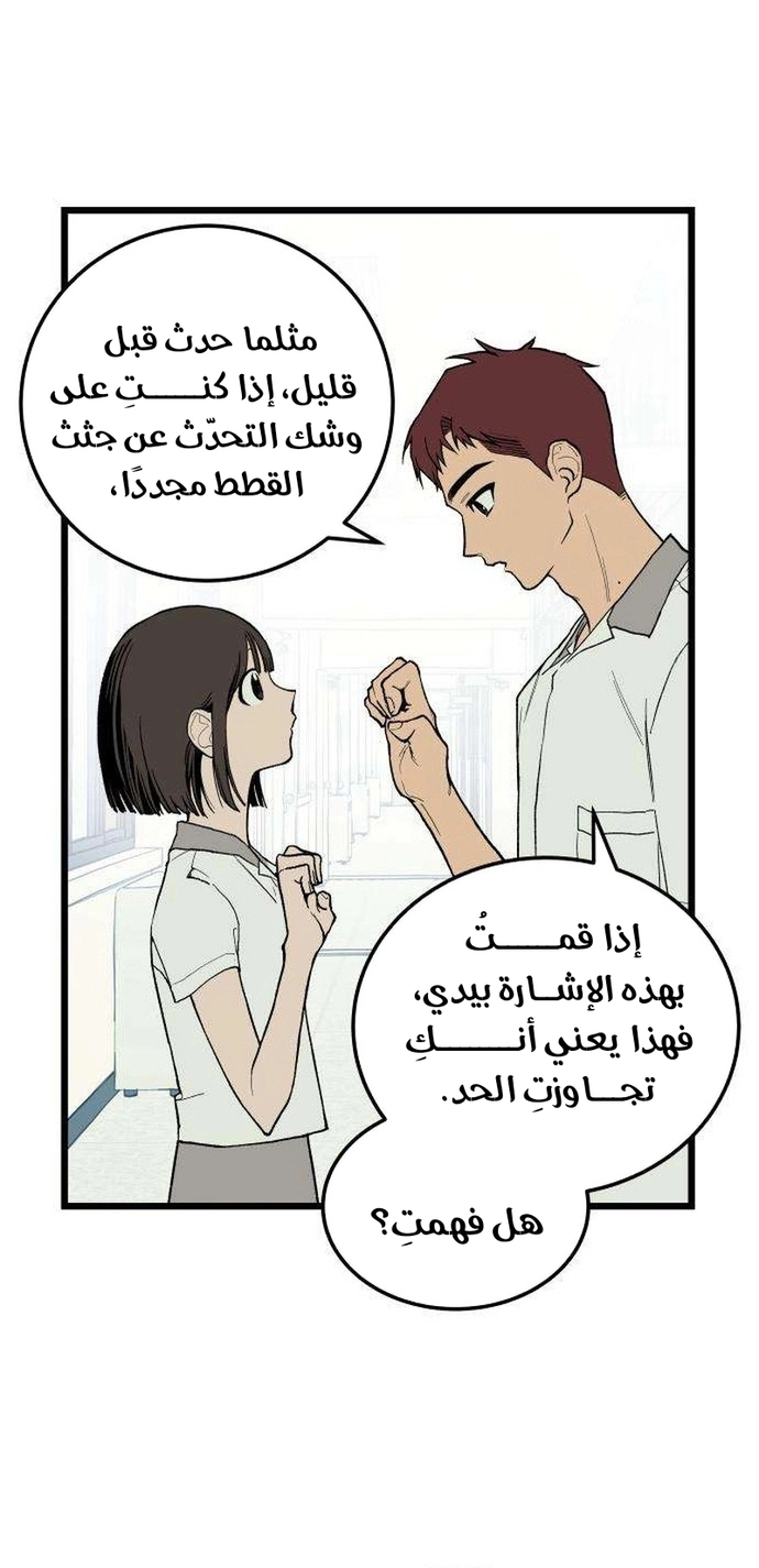 الصفحة 19