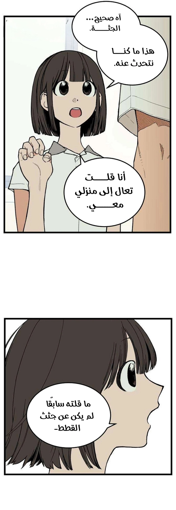 الصفحة 20
