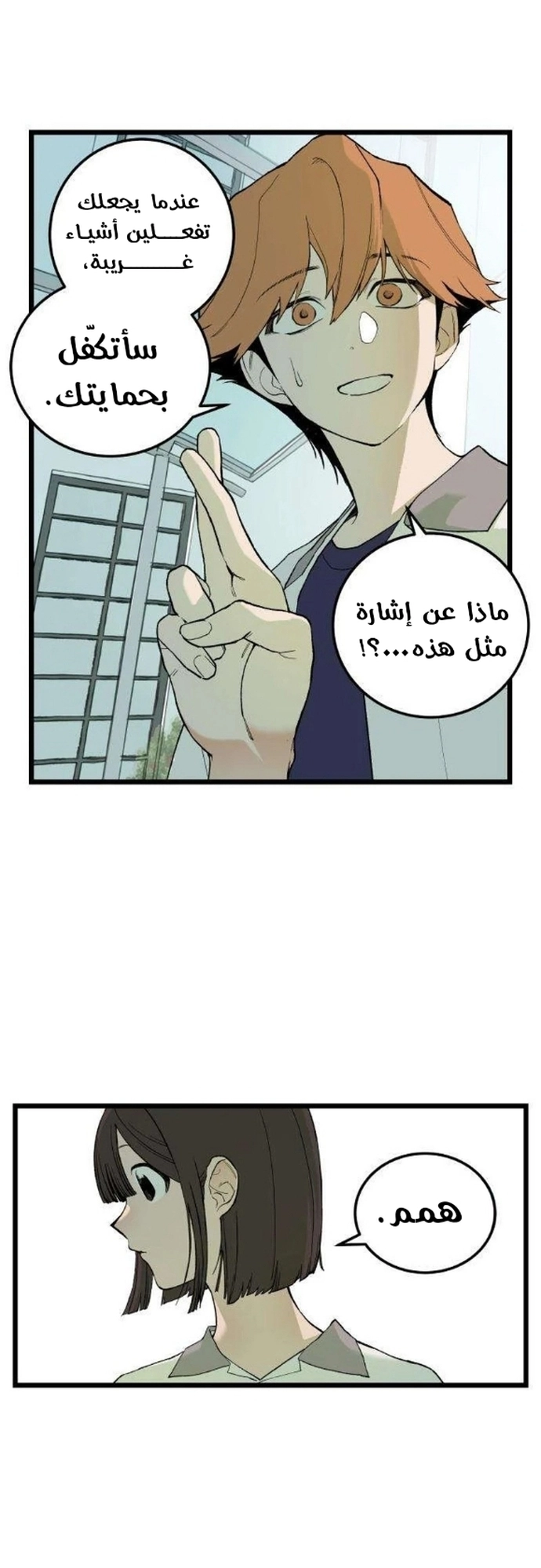 الصفحة 6