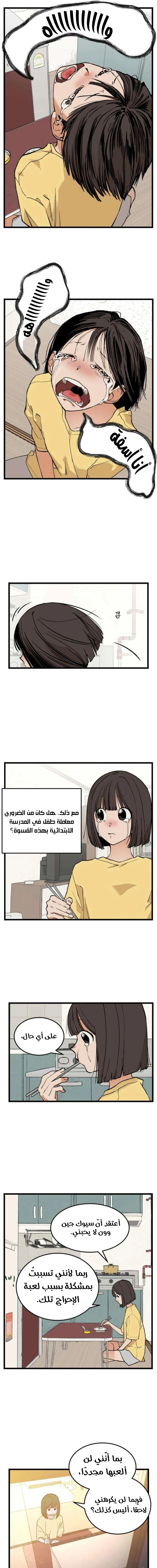الصفحة 13