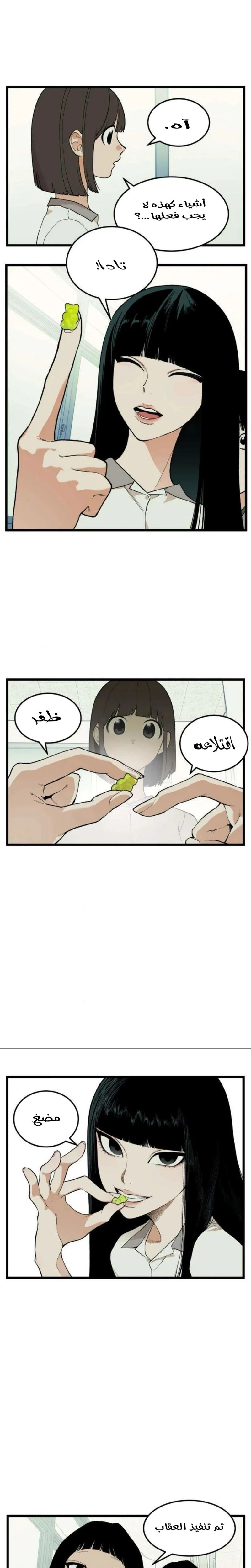 الصفحة 17
