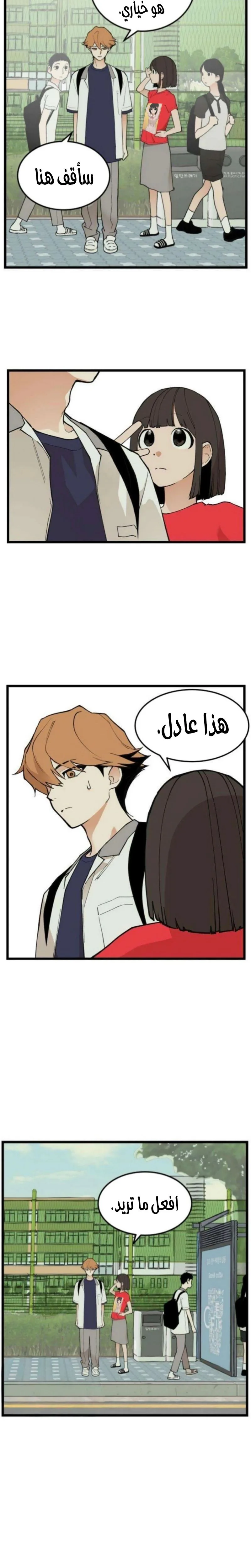 الصفحة 17