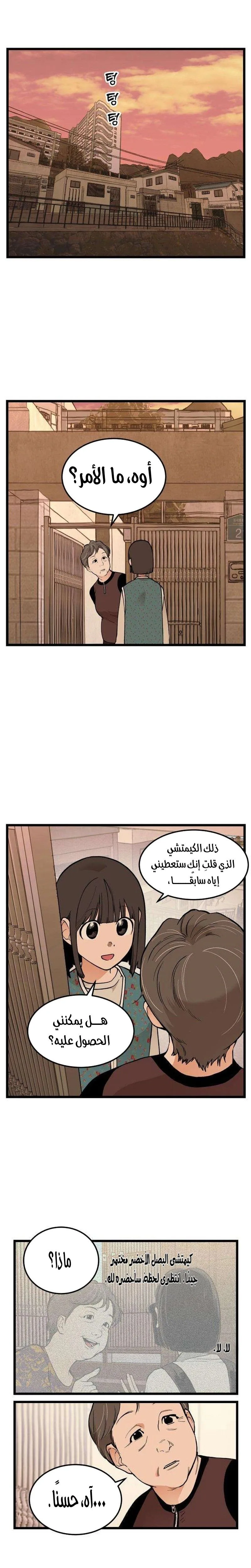 الصفحة 13