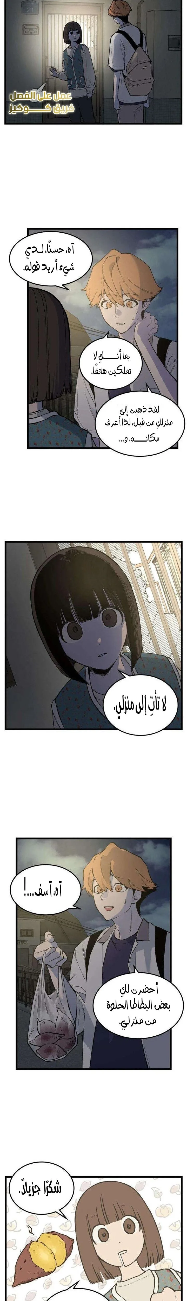 الصفحة 17
