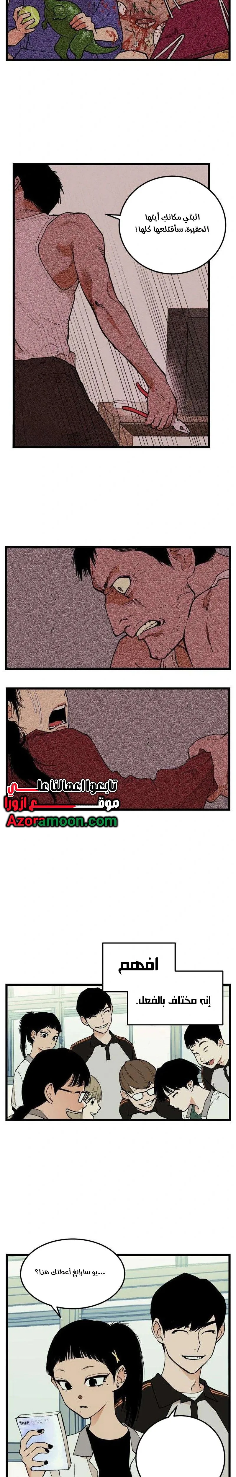 الصفحة 13