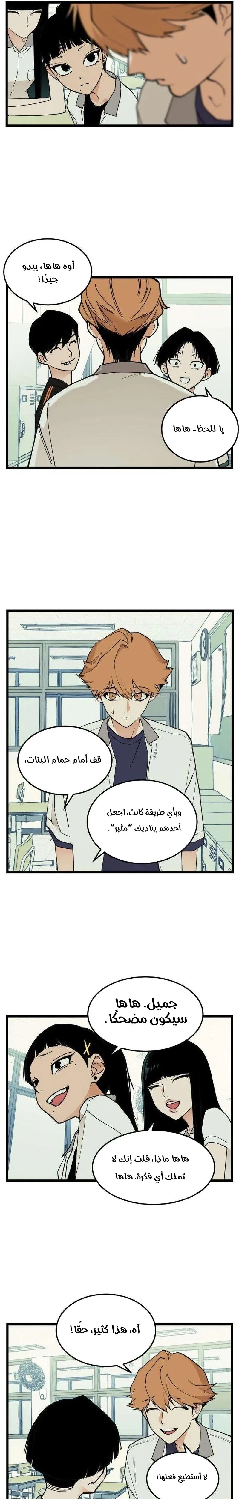 الصفحة 17