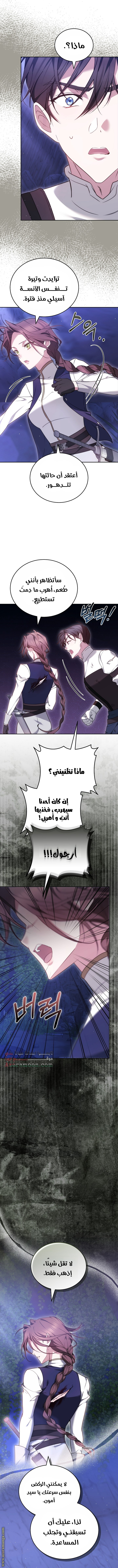 الصفحة 27