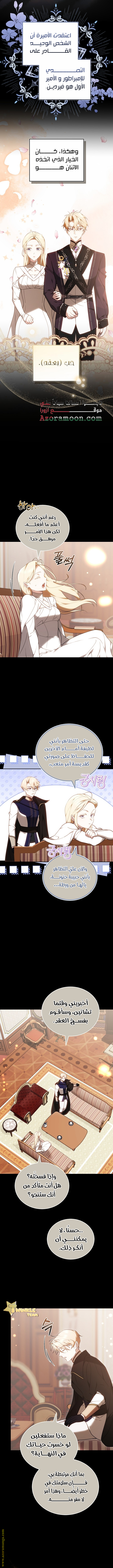 الصفحة 3