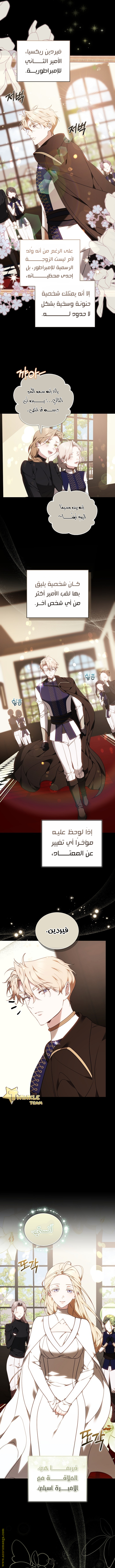 الصفحة 7