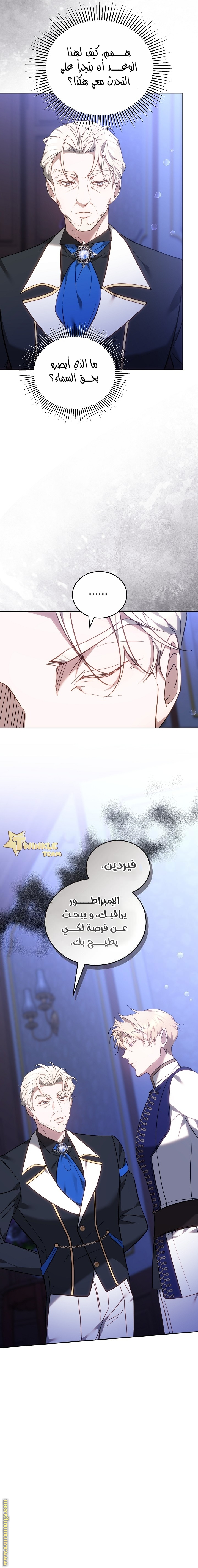 الصفحة 13