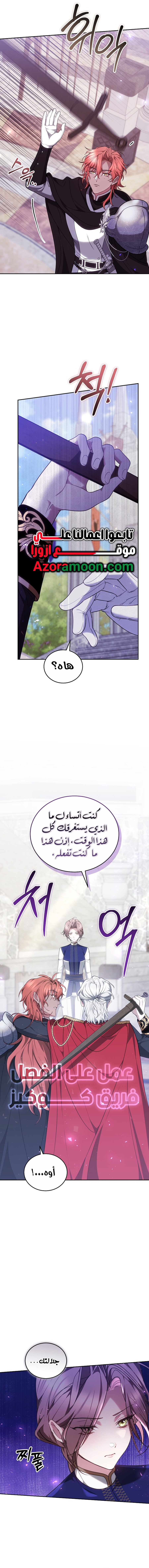 الصفحة 17