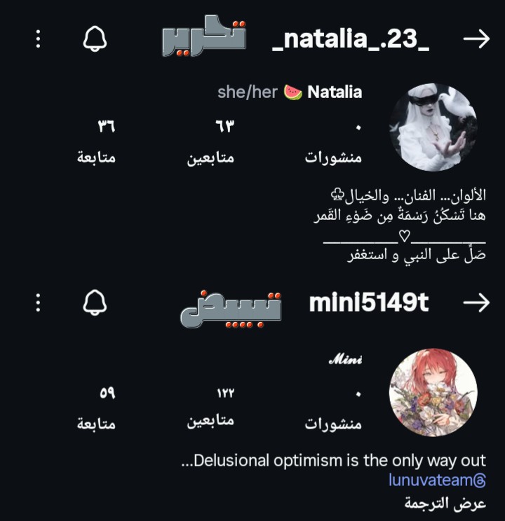 الصفحة 16