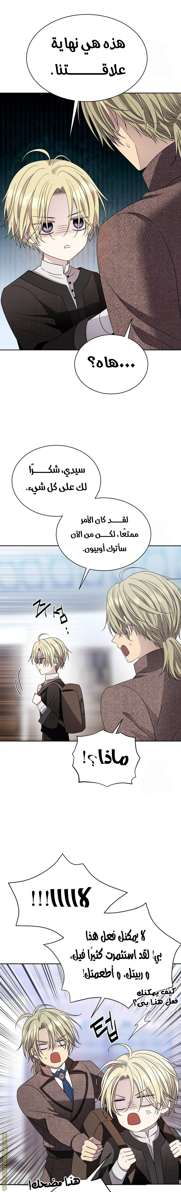 الصفحة 14