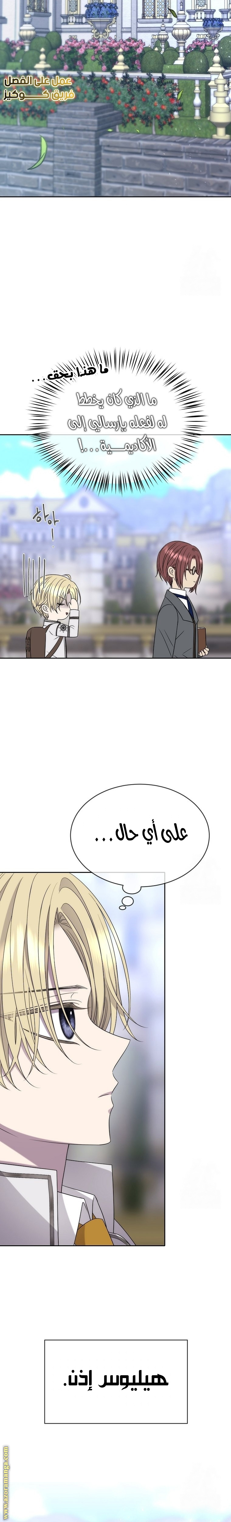 الصفحة 17