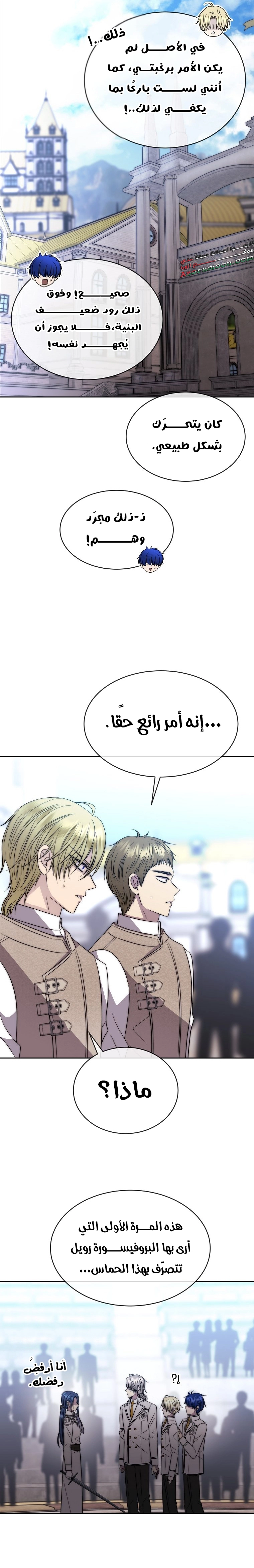 الصفحة 17