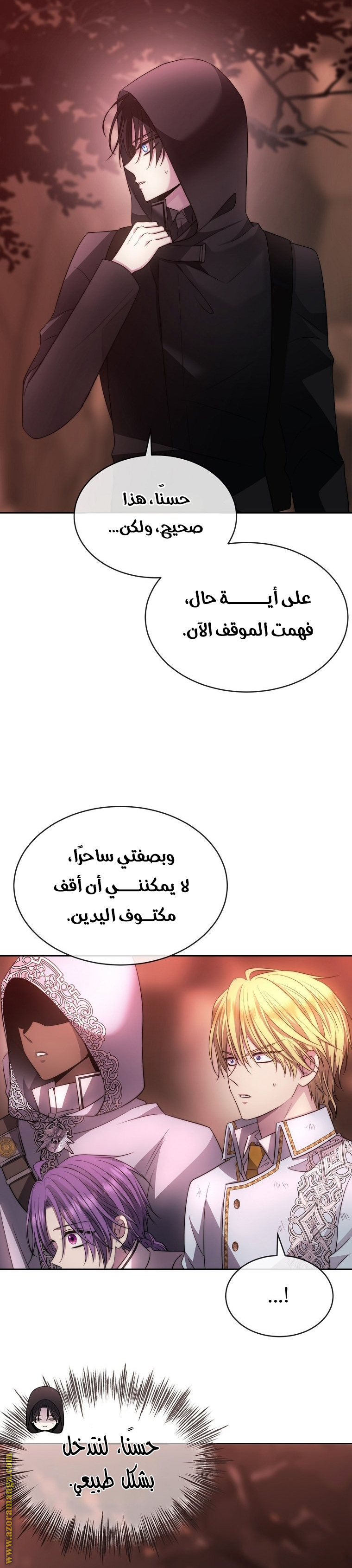 الصفحة 26