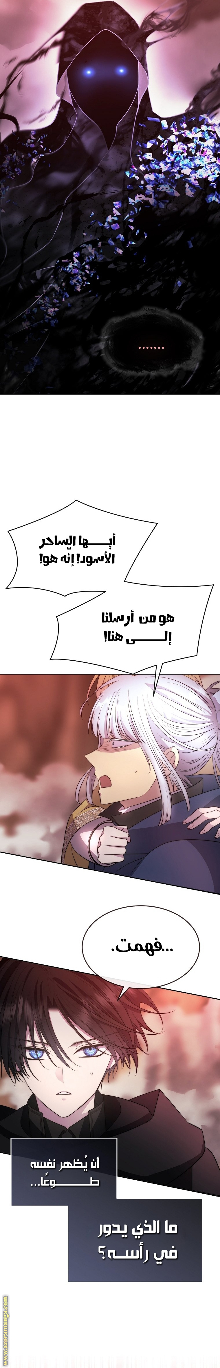 الصفحة 13