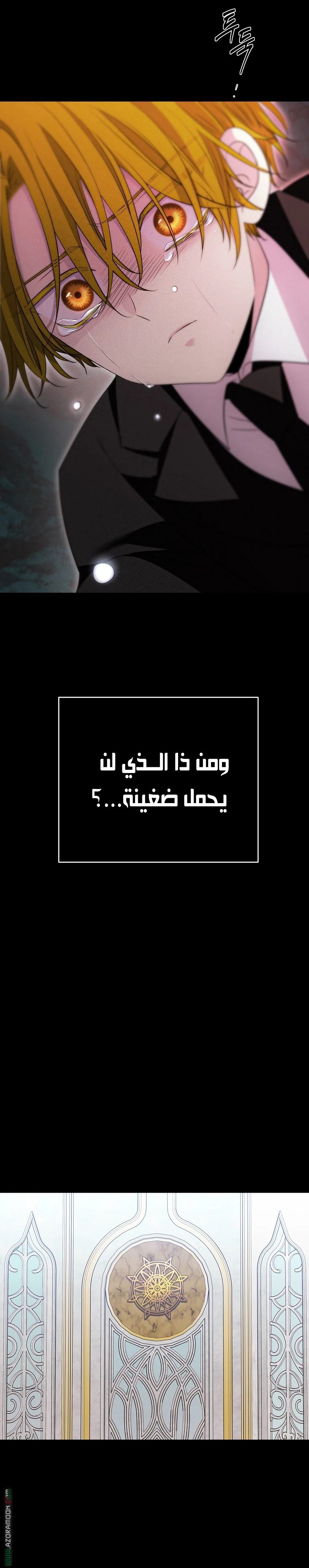 الصفحة 17